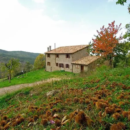 Apartment La Piaggia A Vivo d'Orcia